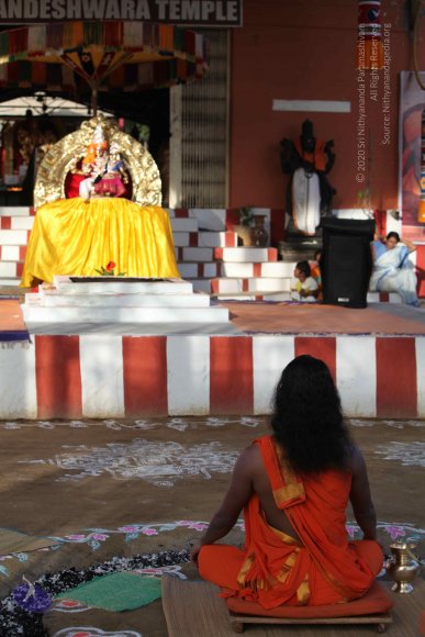 2-Pancha-Tapas_Photo_1014_IMG_0236_CMP_WM