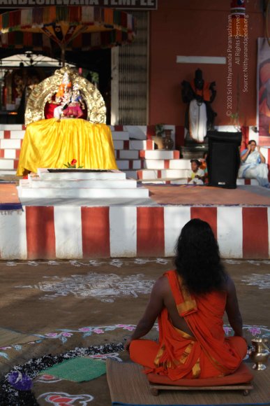 2-Pancha-Tapas_Photo_1015_IMG_0237_CMP_WM