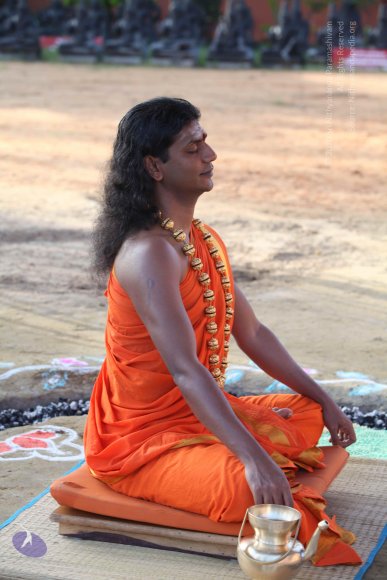 2-Pancha-Tapas_Photo_1016_IMG_0252_CMP_WM