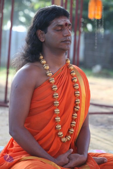 2-Pancha-Tapas_Photo_1025_IMG_0268_CMP_WM