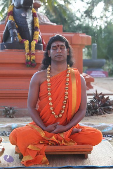 2-Pancha-Tapas_Photo_1027_IMG_0270_CMP_WM