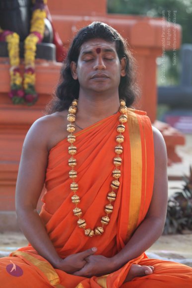 2-Pancha-Tapas_Photo_1029_IMG_0272_CMP_WM