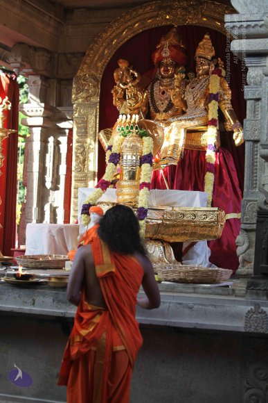 2-Pancha-Tapas_Photo_1037_IMG_0301_CMP_WM