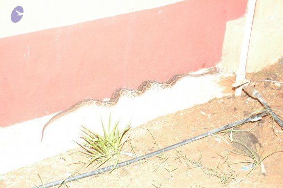 04-Evening-Session_Photo_1022_DSC_9311_CMP_WM