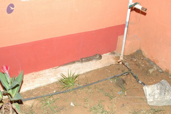 04-Evening-Session_Photo_1023_DSC_9313_CMP_WM