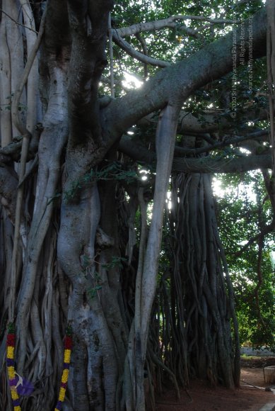 20101005_Photo_1004_DSC_7330_CMP_WM