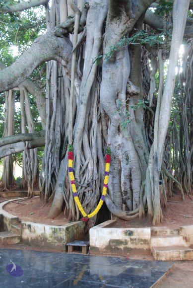 20101005_Photo_1029_DSC_7313_CMP_WM