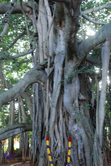 20101005_Photo_1045_DSC_7329_CMP_WM