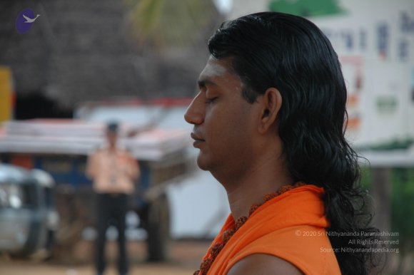 DSC_8105_CMP_WM