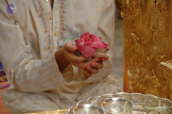DSC_8174_CMP_WM