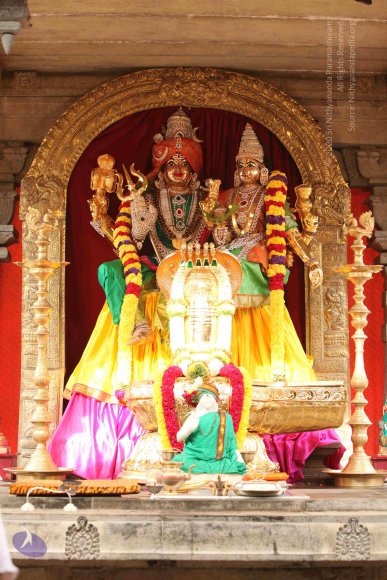 20101013_Photo_1004_IMG_5715_CMP_WM