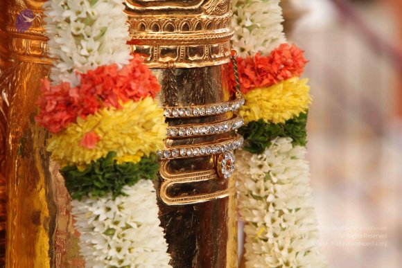 20101013_Photo_1023_IMG_5734_CMP_WM