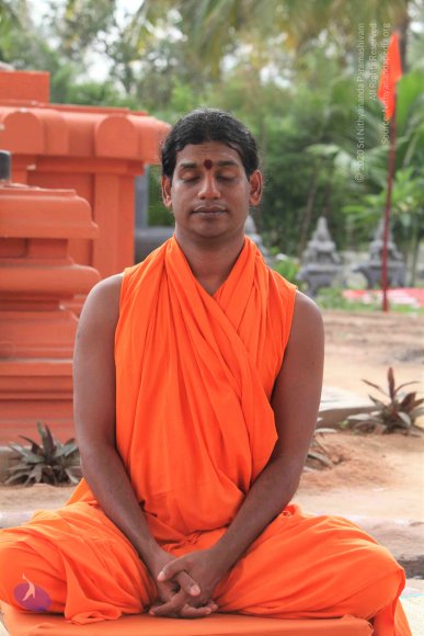 20101013_Photo_1050_IMG_5668_CMP_WM