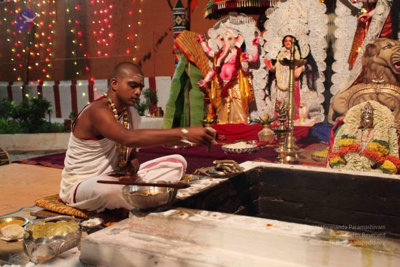 20101013_Photo_1014_IMG_6394_CMP_WM