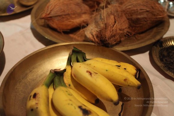 20101013_Photo_1027_IMG_6407_CMP_WM