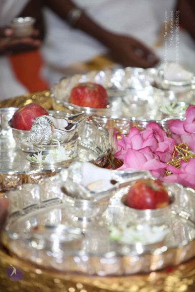 20101019_Photo_1031_IMG_2635_CMP_WM