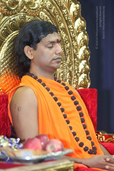 20101019_Photo_1120_IMG_2601_CMP_WM