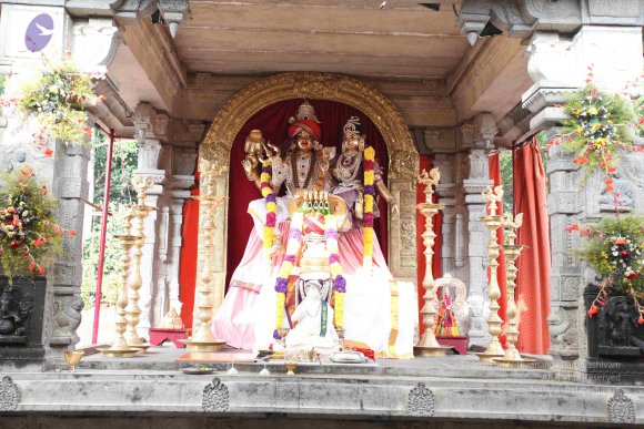 20101019_Photo_1031_IMG_2542_CMP_WM