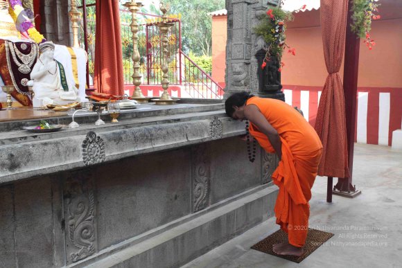 20101019_Photo_1039_IMG_2576_CMP_WM