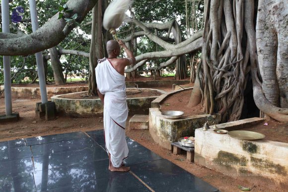 20101019_Photo_1060_IMG_2538_CMP_WM