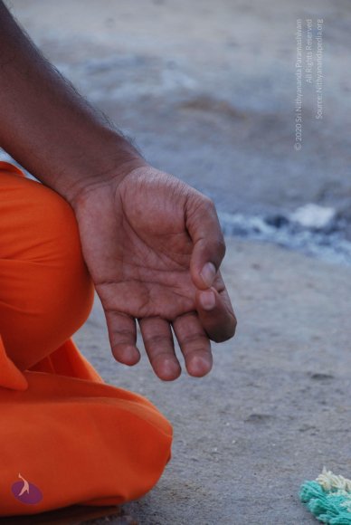 20100904_Photo_1016_DSC_6267_CMP_WM