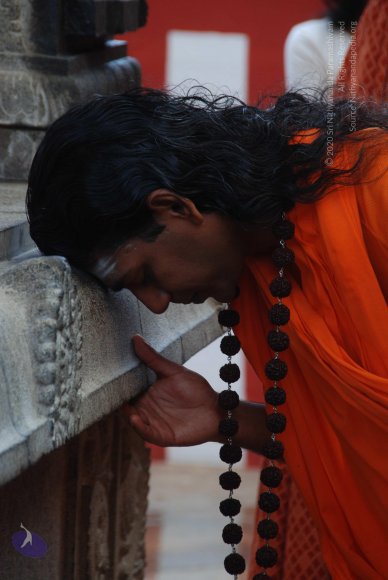 20100904_Photo_1010_DSC_6353_CMP_WM