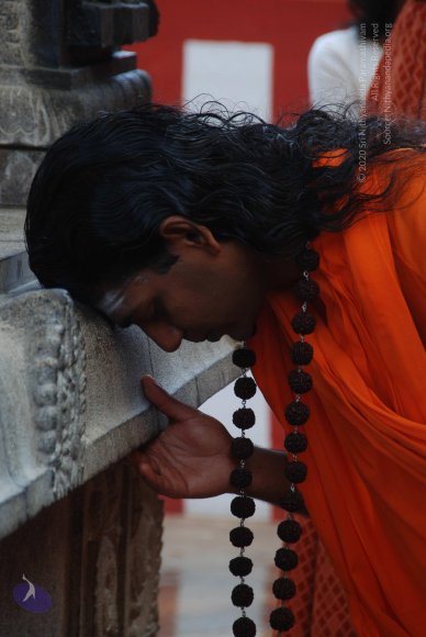 20100904_Photo_1011_DSC_6354_CMP_WM