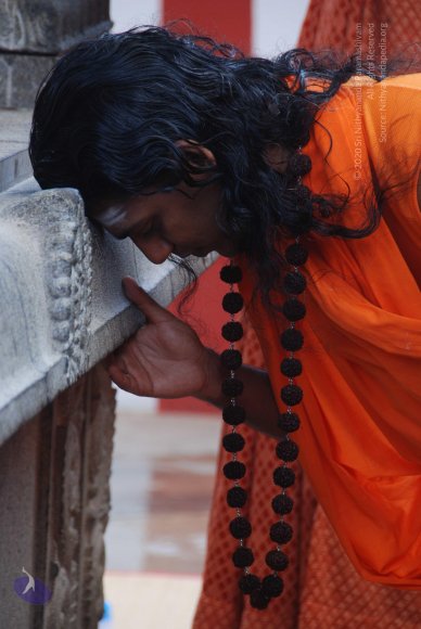 20100904_Photo_1015_DSC_6438_CMP_WM