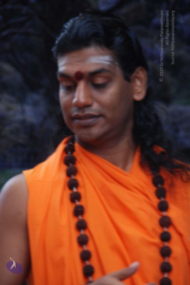 20100904_Photo_1017_DSC_6440_CMP_WM