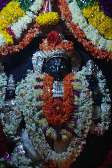 20100904_Photo_1132_DSC_6738_CMP_WM