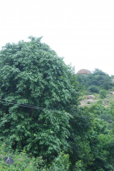 20100904_Photo_1064_DSC_6934_CMP_WM