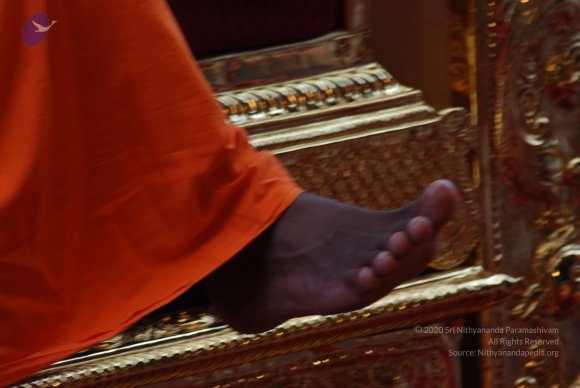 20100909_Photo_1005_DSC_0050_CMP_WM