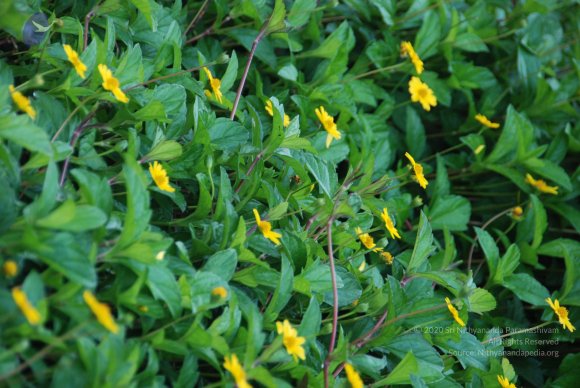 20100916_Photo_1012_DSC_7877_CMP_WM