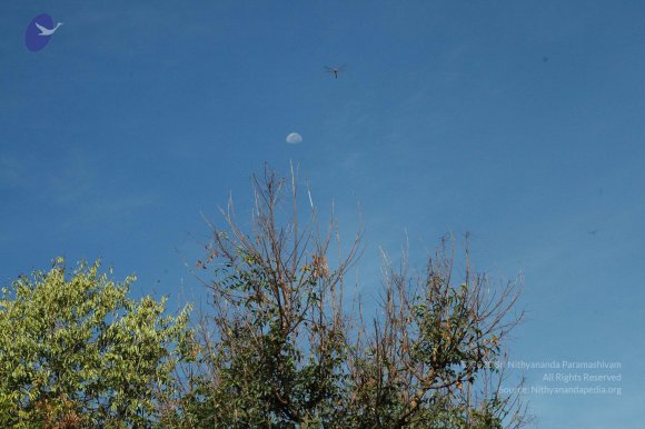 20100929_Photo_1006_DSC_6141_CMP_WM