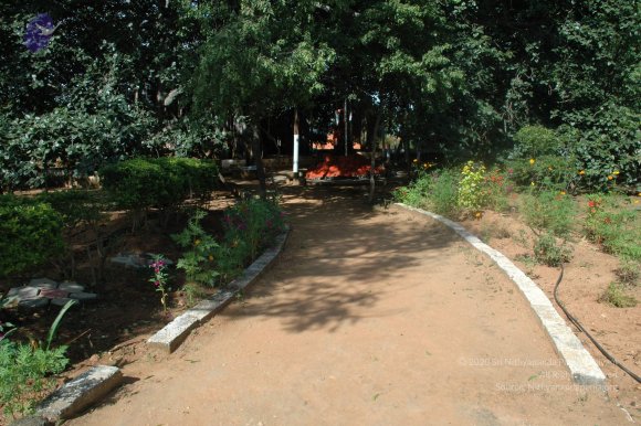 20100929_Photo_1011_DSC_6178_CMP_WM