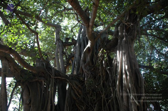 20100929_Photo_1014_DSC_6191_CMP_WM