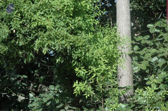 20100929_Photo_1015_DSC_6159_CMP_WM