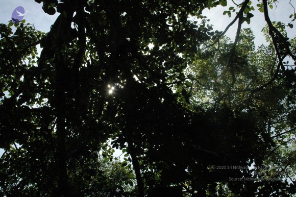 20100929_Photo_1016_DSC_6185_CMP_WM