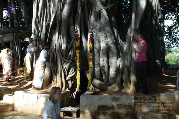 20100929_Photo_1017_DSC_6194_CMP_WM