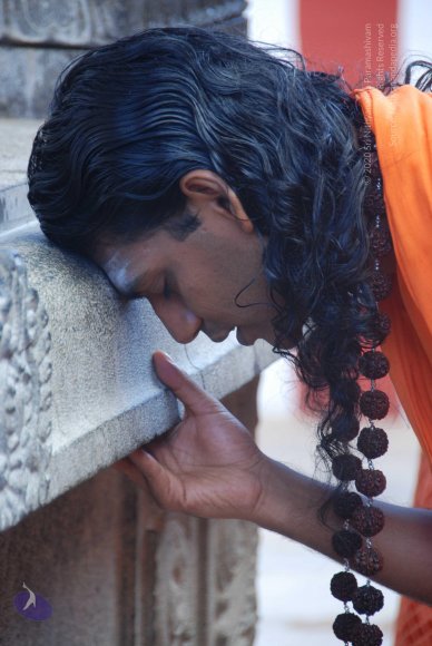 20100901_Photo_1016_DSC_3269_CMP_WM