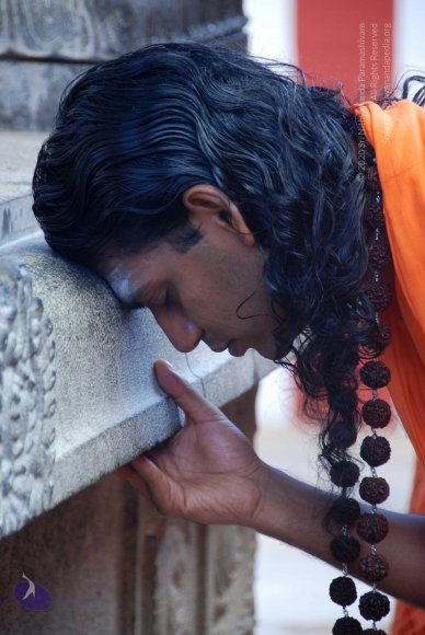 20100901_Photo_1019_DSC_3270_CMP_WM