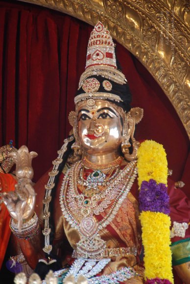 20100901_Photo_1034_DSC_3293_CMP_WM