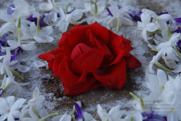 20100903_Photo_1002_DSC_5528_CMP_WM