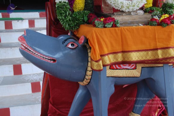 20100903_Photo_1011_DSC_5556_CMP_WM