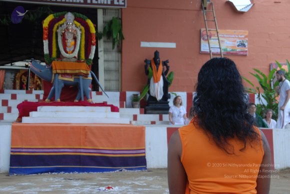 20100903_Photo_1034_DSC_5568_CMP_WM