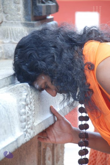 20100903_Photo_1067_DSC_5882_CMP_WM