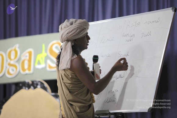 20100909_Photo_1238_IMG_5316_CMP_WM