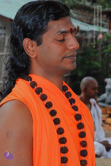 20100910_Photo_1002_DSC_0290_CMP_WM