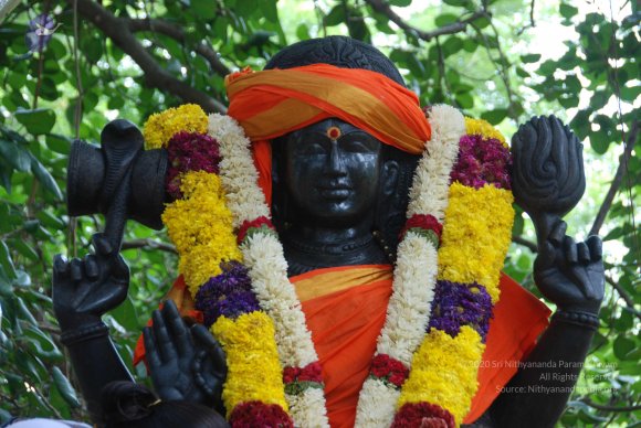 20100914_Photo_1013_DSC_6320_CMP_WM