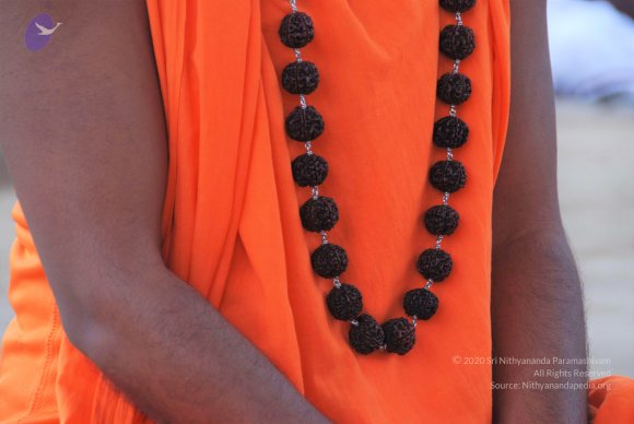 20100914_Photo_1023_DSC_5542_CMP_WM